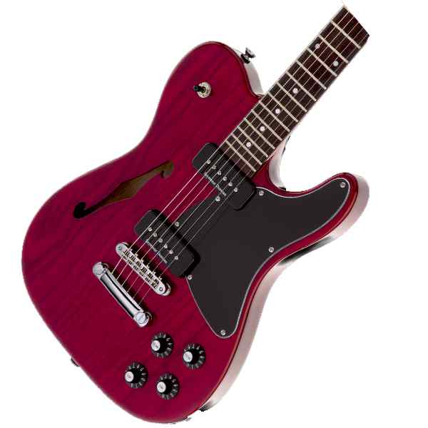 FENDER 0262354538 SIGNATURE JIM ADKINS JA-90 TELECASTER THINLINE