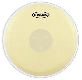 PARCHE 8½" BONGO EVANS