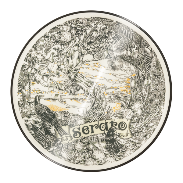 JGO DISCO VINYL 12" RANE